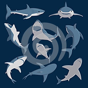 Vector shark comic style character wild fish set.