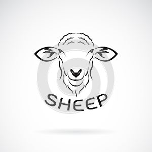 Vector of sheep head design on white background. Wild Animals.