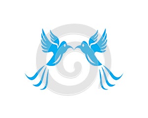 Vector - Vector sign abstract bird in flight