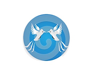 Vector - Vector sign abstract bird in flight