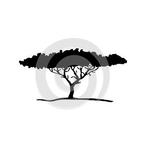 Vector silhouette of acacia tree