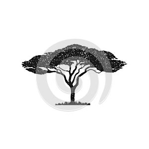 Vector silhouette of acacia tree.African tree isolated silhouette