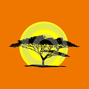 Vector silhouette of acacia tree in safari sunset background. A photo