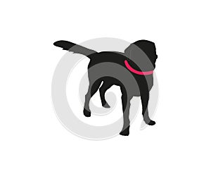 Vector silhouette of big dog on white background