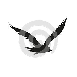 Vector silhouette of the Bird of Prey in flight with wings spread