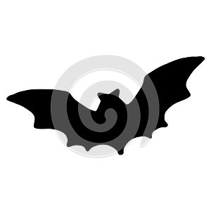 Vector silhouette of a black bat for the template and background of the packaging design for Halloween. a soaring bat with pointed
