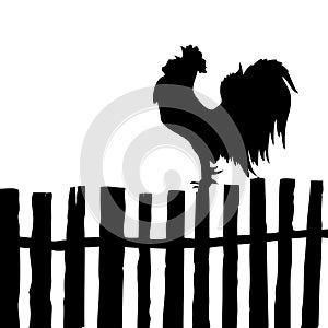 Vector silhouette of the