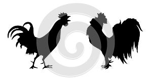 Vector silhouette of the