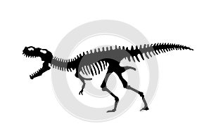 Vector silhouette of dinosaurs skeleton. Hand drawn dino skeleton. Dinosaur bones, exhibit fossils in the museum