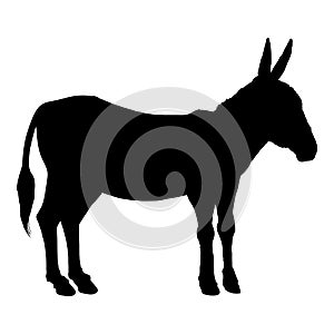 Vector Silhouette of Donkey photo