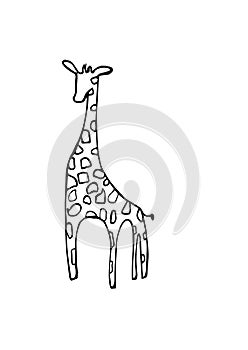 Vector silhouette of giraffe zoo sketch isolated illustration animal wildlife safari african wild art artwork camouflage