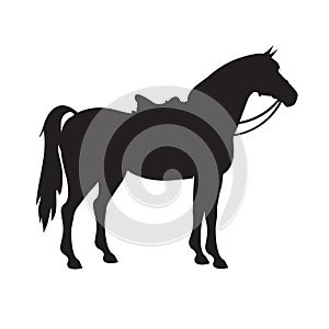Vector silhouette of horse with saddle and bridle