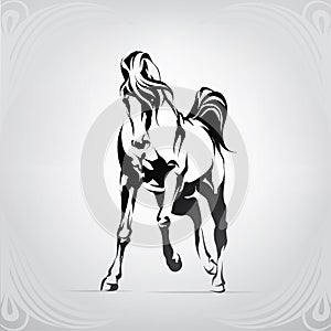 Vector silhouette of a horse. vector illustration