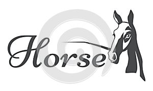 Vector silhouette of a horses head. Stylized illustration.