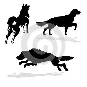 Vector silhouette hunt dogs