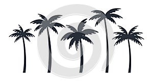 Vector silhouette illustration of tropical palm trees in varying sizes on a plain background