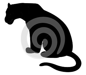 Vector Silhouette of a lion female on white background, lioness logo or icon