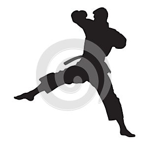 Vector silhouette of a martial arts sports person. Flat cutout icon