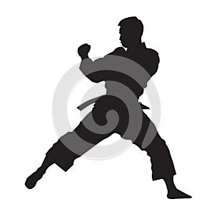 Vector silhouette of a martial arts sports person. Flat cutout icon
