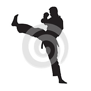 Vector silhouette of a martial arts sports person. Flat cutout icon