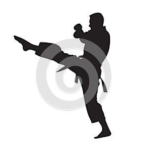 Vector silhouette of a martial arts sports person. Flat cutout icon