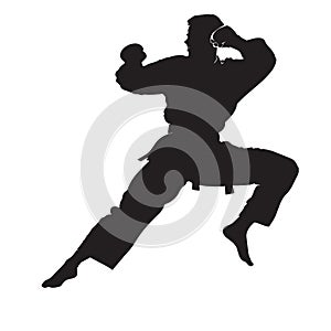 Vector silhouette of a martial arts sports person. Flat cutout icon