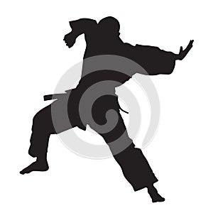 Vector silhouette of a martial arts sports person. Flat cutout icon