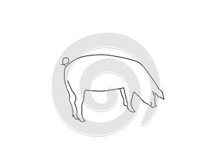 Vector silhouette of pig. Isolated white background. For coloring or packaging design. In linear style