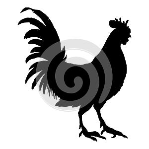 Vector Silhouette of Rooster