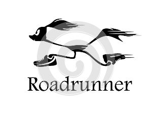 Roadrunner photo