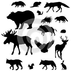 Vector Silhouette Set of Forest Animals