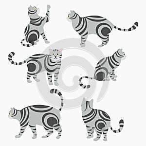 Vector silhouette set Isolated of cats on white background, Cartoon cat set with different poses and emotions