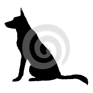 Vector Silhouette Sitting German Shepherd Dog