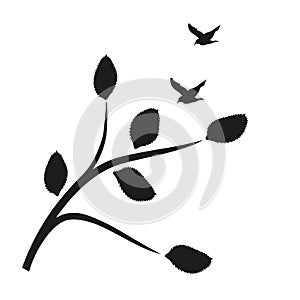 Vector silhouette of spring birds sitting and tree branch, vector illustration.