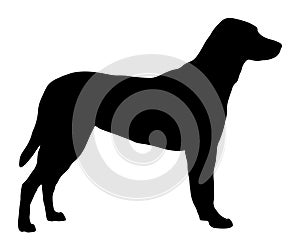 Vector Silhouette Of A Standing Dog