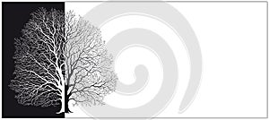 Vector silhouette of a tree in black and white