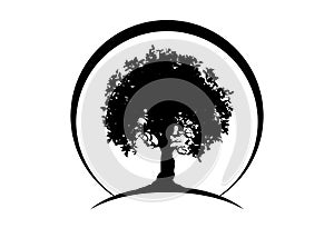 Vector silhouette tree icon isolated on white background. Tree concept logo design