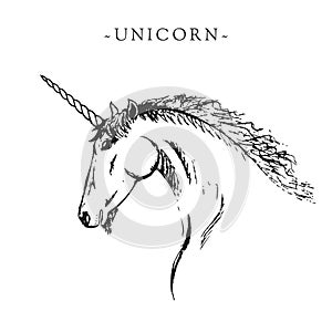 Vector silhouette of a unicorn. Black and white sketch for a postcard or logo. Handmade doodle