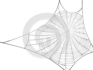 Vector silhouette of web of spider.