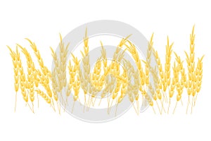 Vector silhouette of wheat. Wheat in the field on a white background