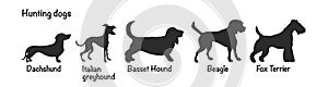 Vector silhouettes of 5 hunting dog breeds on white background. Isolated icons