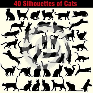 Vector silhouettes of cats on white background