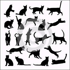Vector silhouettes of cats on white background