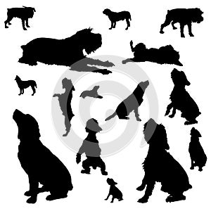 Vector silhouettes of different dogs.