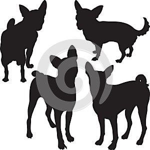 Vector silhouettes of dogs in the rack