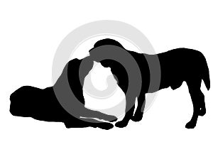 Vector silhouettes of dogs.