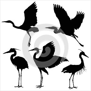 Vector silhouettes of heron