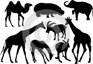 Vector silhouettes of mammals