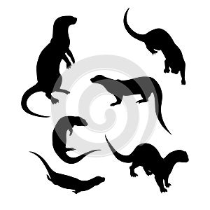 Vector silhouettes of a otter