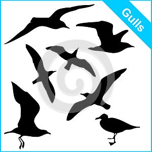 Vector silhouettes of sea gulls